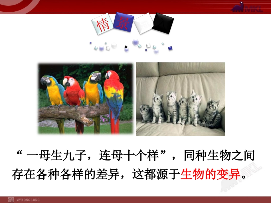 科学家的故事袁隆平与杂交水稻-(4)_第2页