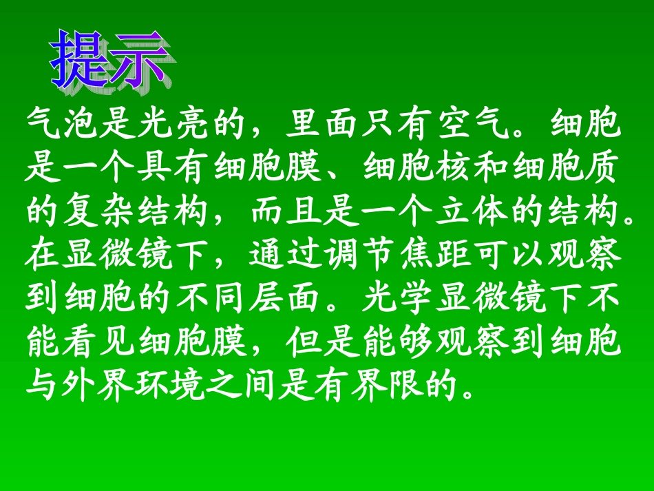 细胞膜和细胞壁_第3页