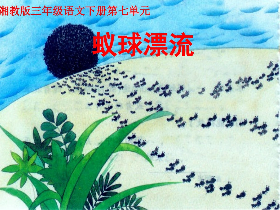 2015春湘教版语文三下《蚁球漂流》ppt课件1_第1页
