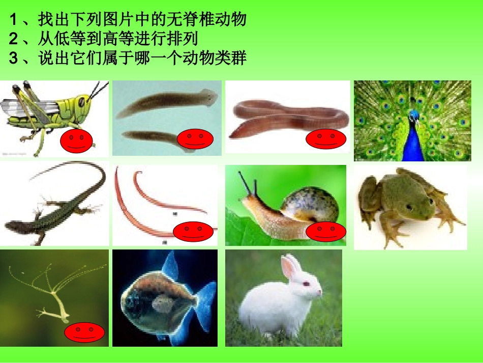 与生物学有关的职业-养殖专业户_第2页