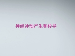 高中生物《神经冲动的产生和传导》课件2-中图版必修3