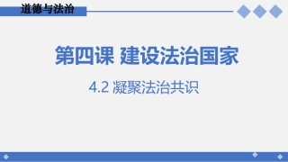 凝聚法治共识-(2)
