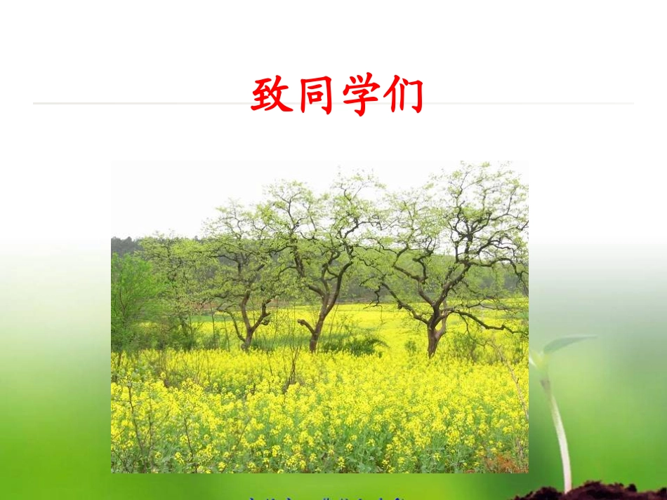 致同学们-(10)_第2页