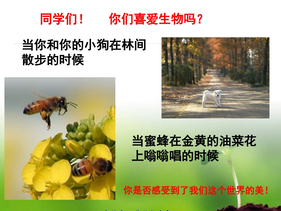 致同学们-(10)_第3页