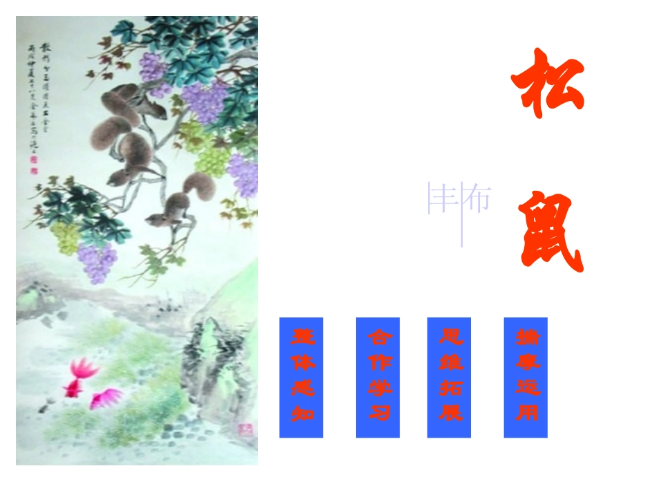 (苏教版)七年级下《松鼠》课件2_第2页