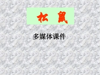 (苏教版)七年级下《松鼠》课件2