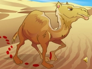 (演唱)小骆驼-(2)