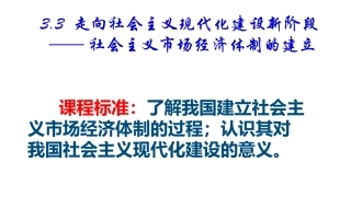 三走向社会主义现代化建设新阶段-(3)