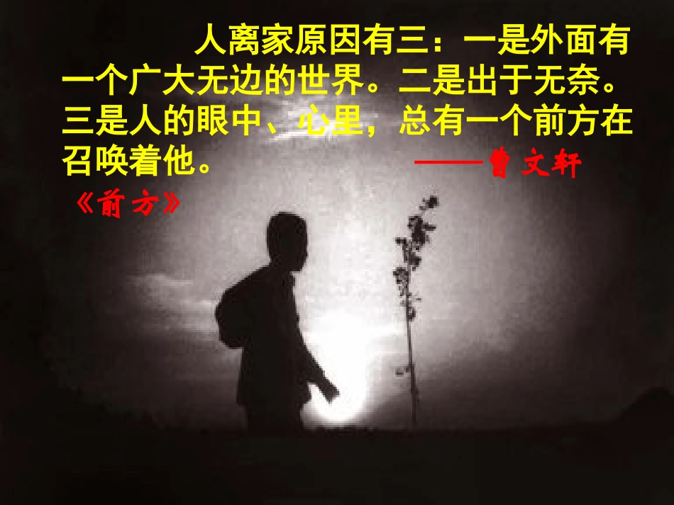 7.孤独之旅_第2页