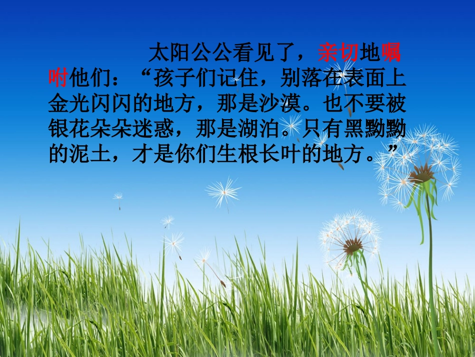 《蒲公英》教学课件_第3页
