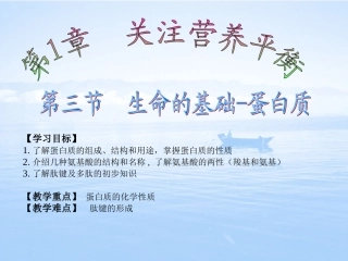 第3节-生命的基础-蛋白质(1)