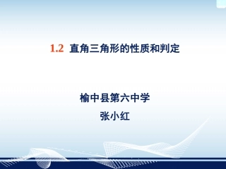 直角三角形的性质与判定