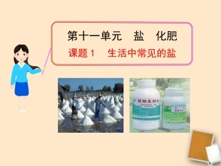甘肃省兰州市第三十一中学2012届九年级化学-课题1-生活中常见的盐-课件-人教新课标版