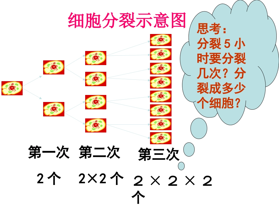 有理数乘方的运算_第3页