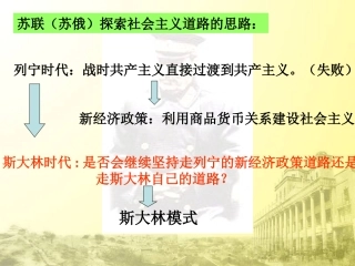 二斯大林模式的社会主义建设道路-(4)