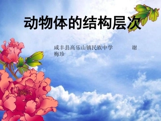 第2节生物体的器官、系统