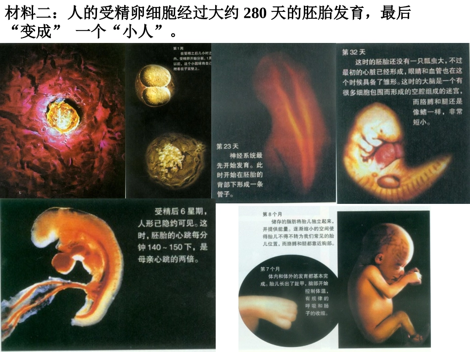 生物：63-4《细胞分化癌变衰老》课件(新人教版必修1)_第3页