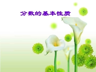 1124分数的基本性质