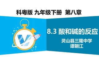 8.3酸和碱的反应