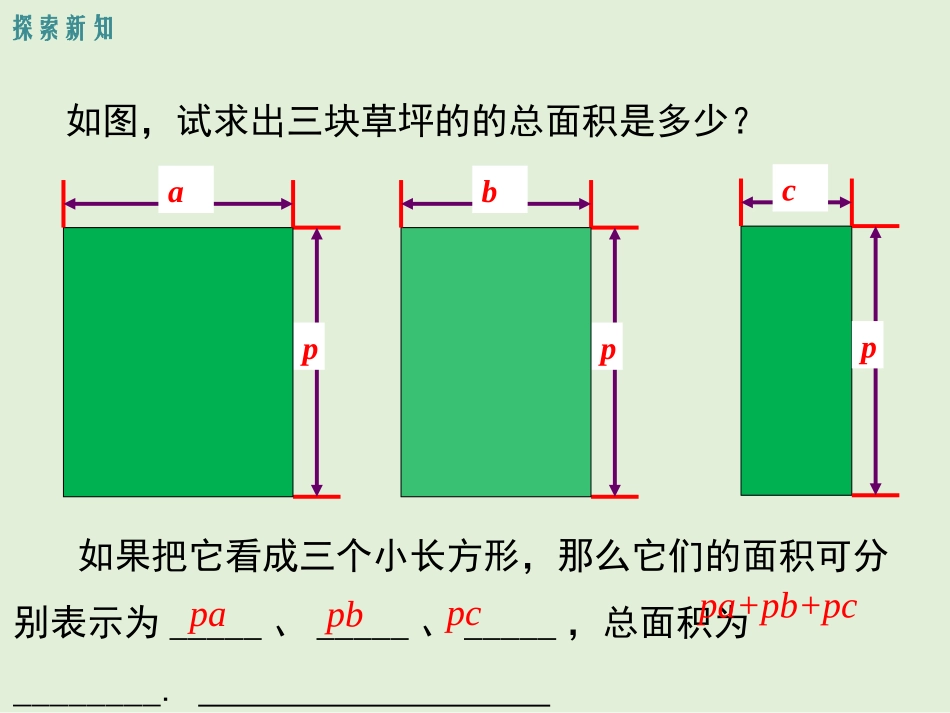 单项式乘以多单项式_第3页