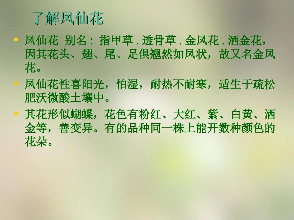 种植我们的植物_第2页