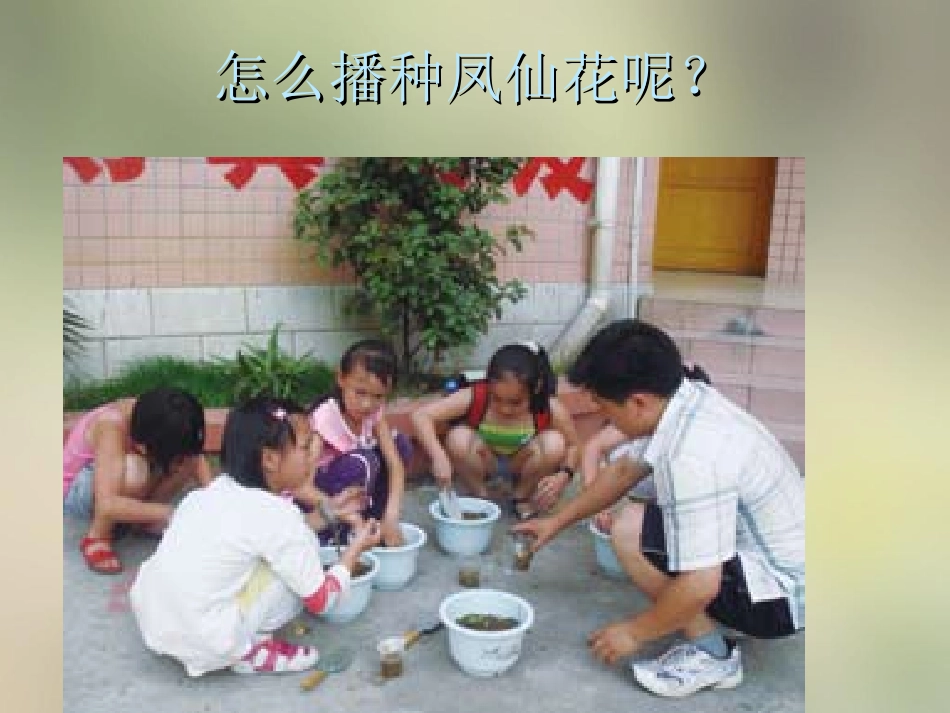 种植我们的植物_第3页