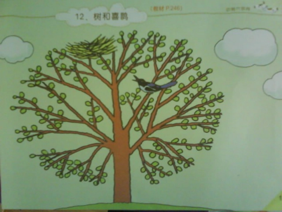 (部编)人教语文2011课标版一年级下册树和喜鹊ppt-(6)_第2页