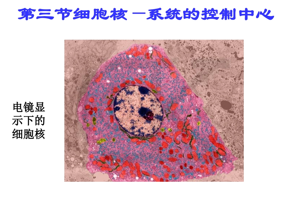 3.3细胞核—系统的控制中心_第1页