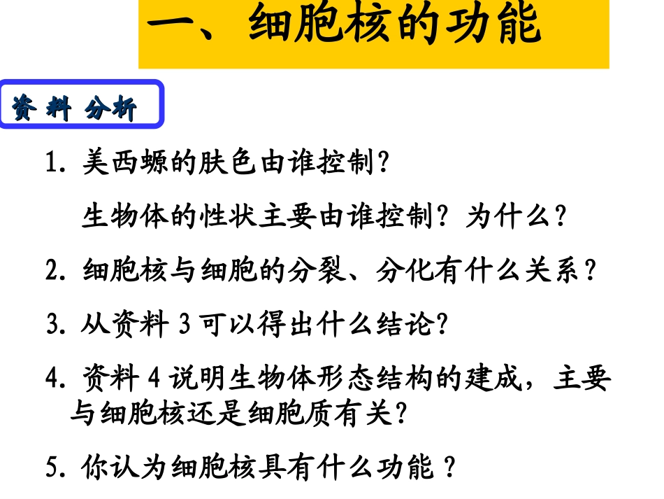 3.3细胞核—系统的控制中心_第3页