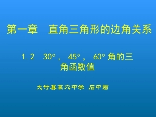 230°-45°-60°角的三角函数值-(4)