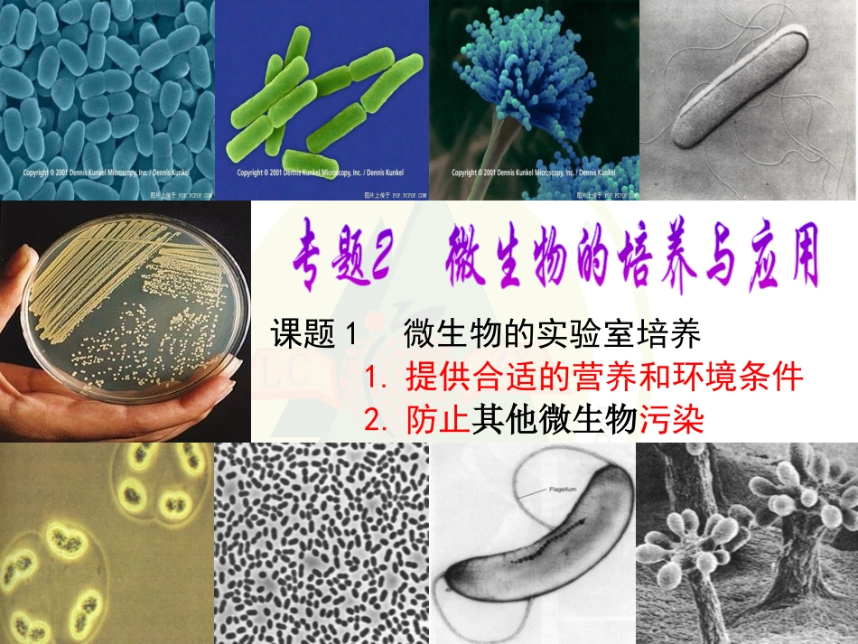 【实验】培养基的配制和灭菌_第1页