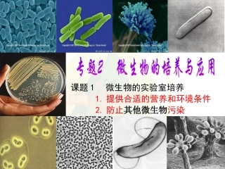 【实验】培养基的配制和灭菌