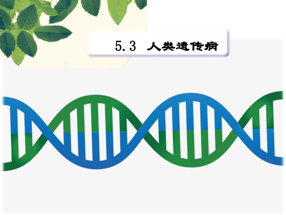 第六节人类遗传病_第1页