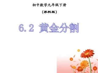 6.2黄金分割