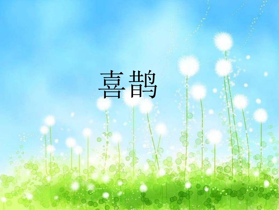 《6.树和喜鹊》3_第3页