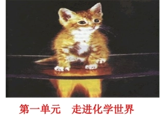 课题1物质的变化和性质-(3)