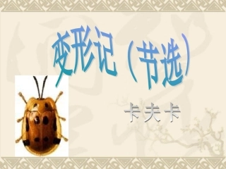 十一变形记(节选)