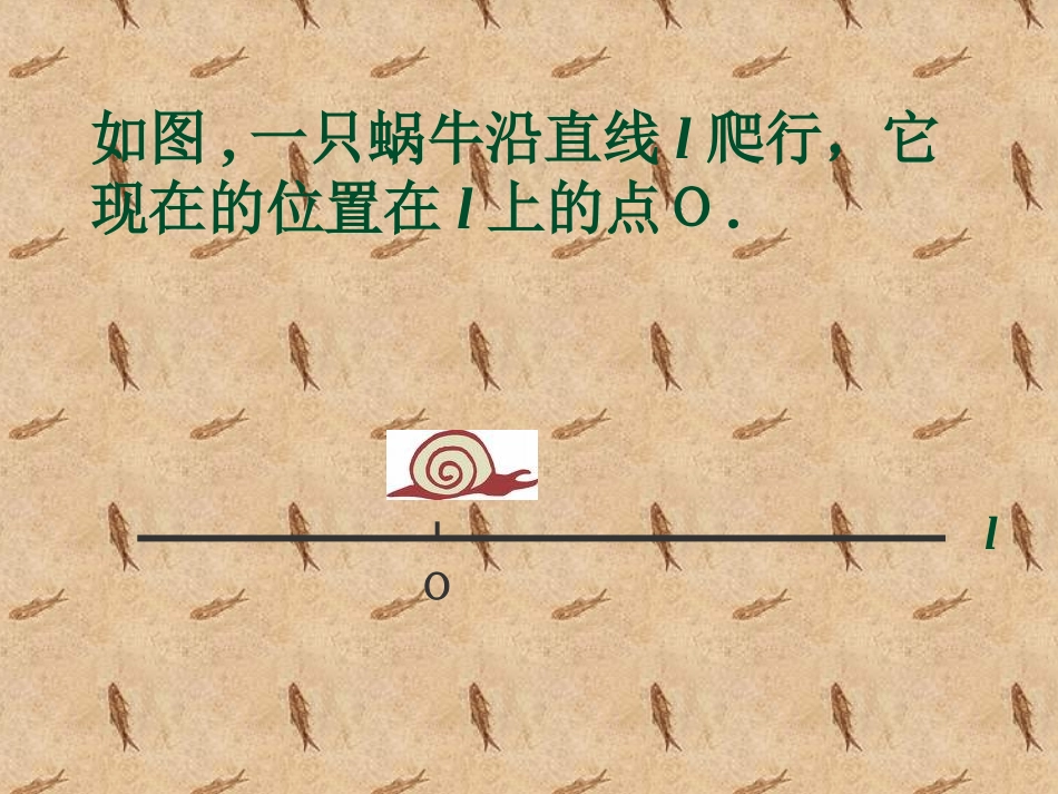 有理数乘法.4-有理数的乘法1_第3页