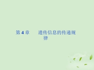 【优化方案】2012高考生物-第4章第1节遗传信息的传递规律精品课件-北师大版必修2