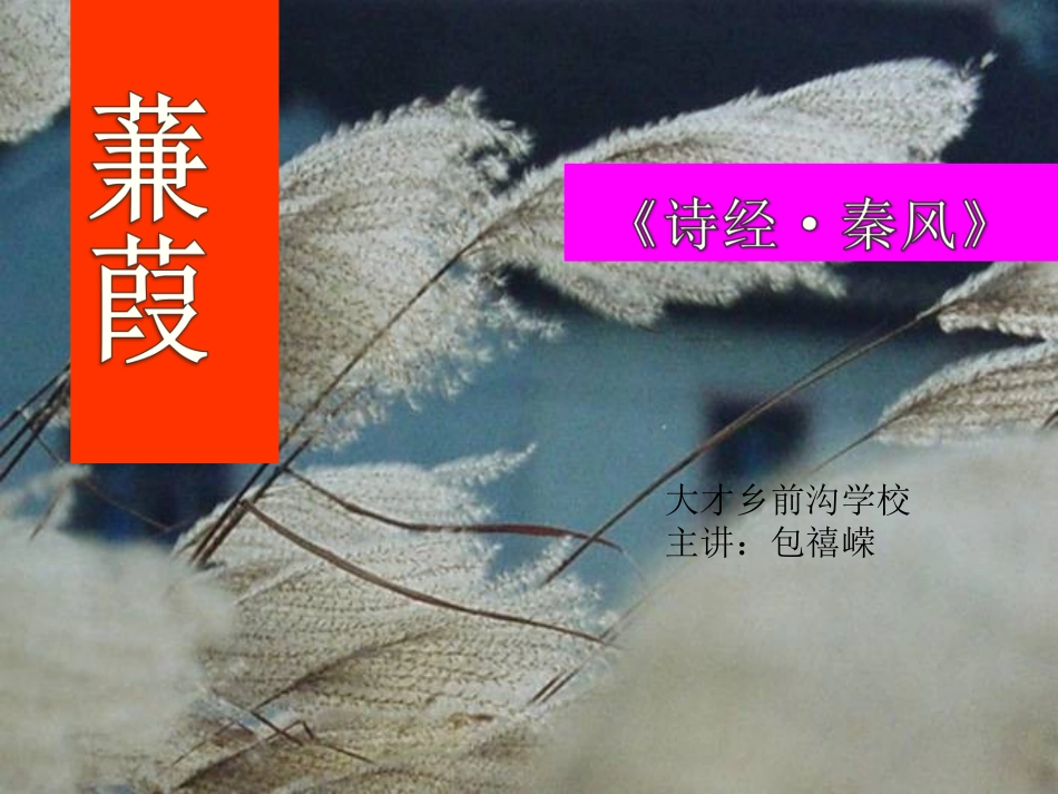 蒹葭-(3)_第1页