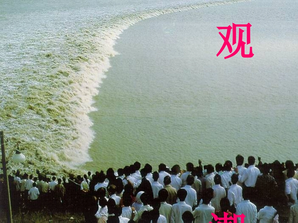 6观潮-(2)_第1页