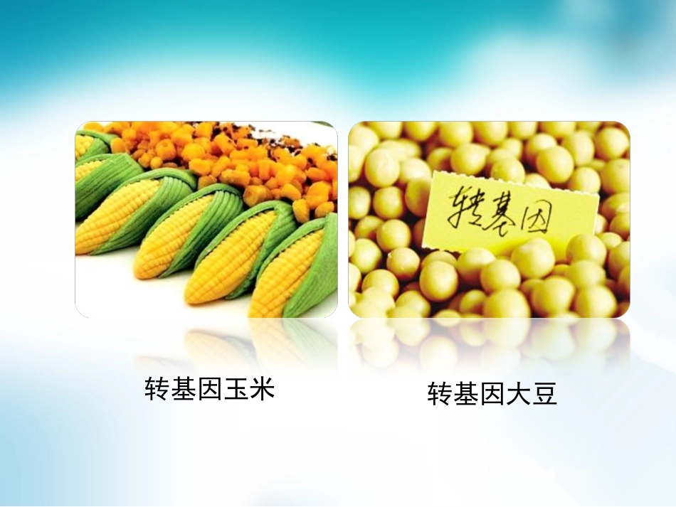 第四章现代生物技术_第2页