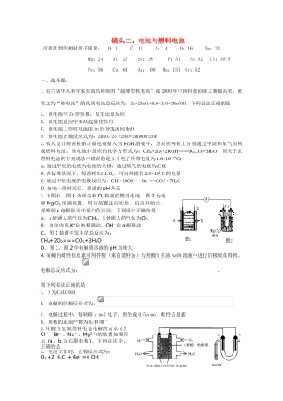 江苏省海门市三厂中学高三化学三轮 热点镜头练习系列二：电池与燃料电池