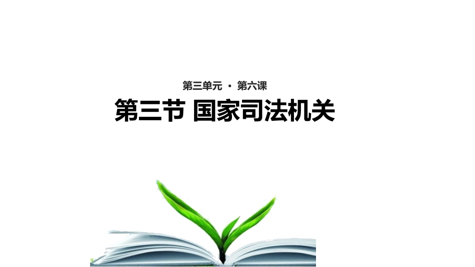 国家司法机关-(3)_第1页