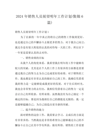 2024年销售人员展望明年工作计划(集锦6篇) 