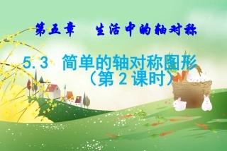 线段的轴对称性-(2)