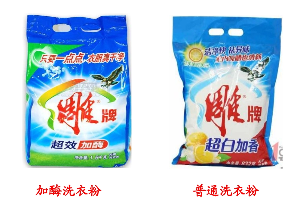 课题研究探究洗衣粉中的酶在洗涤中的作用_第2页