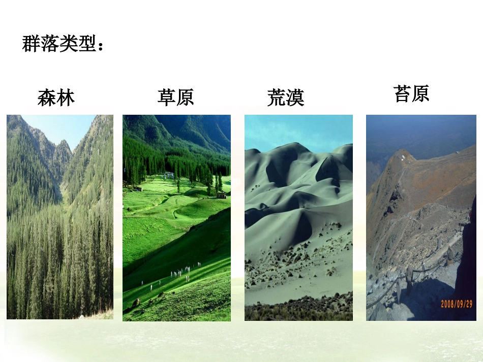 第五节群落演替_第2页