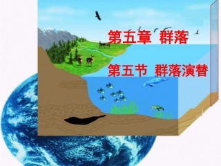 第五节群落演替
