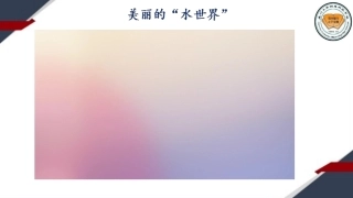离子反应-(2)